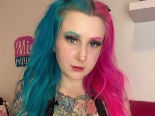 WebCAM of MickeyMountains