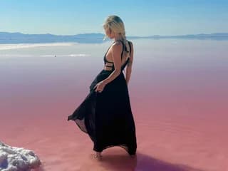 theselenarainx WebCAM 